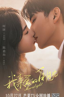 南海seo排名优化推广公司